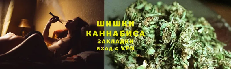 Шишки марихуана Amnesia  Северобайкальск 